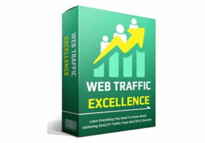 Web Traffic Excellence Online Certificate Courses