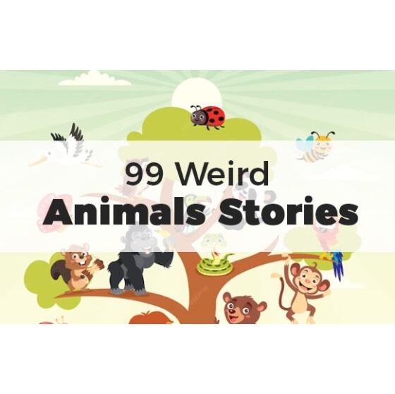 99 Weird Animals Stories – eBook